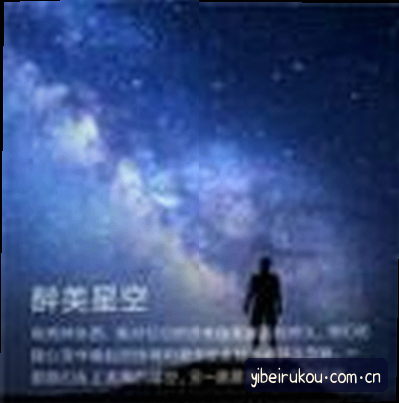 陈悦